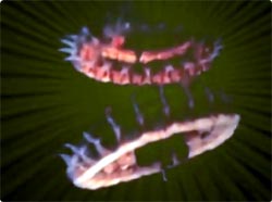 海の中はいつだって魅力的、注目の生物たちが奏でる光と音のエレクトリカルパレード「海洋大発見」