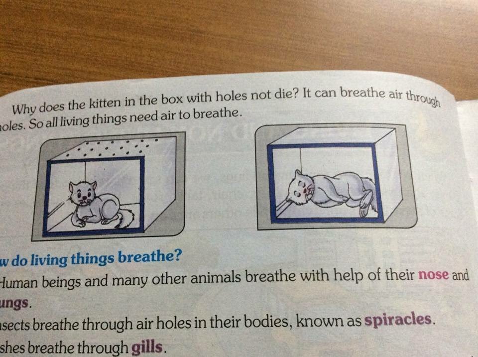 インドの小学生の教科書に呼吸を学ぶ方法として「もし猫を木箱に閉じ込めたら」が掲載され物議をかもす