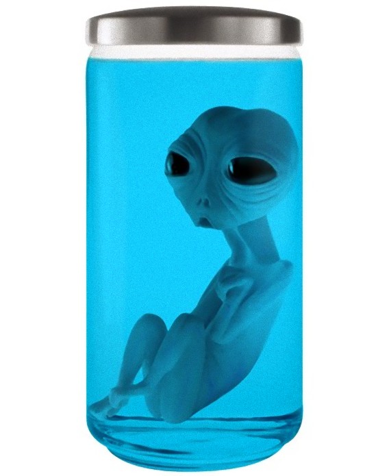 6_e