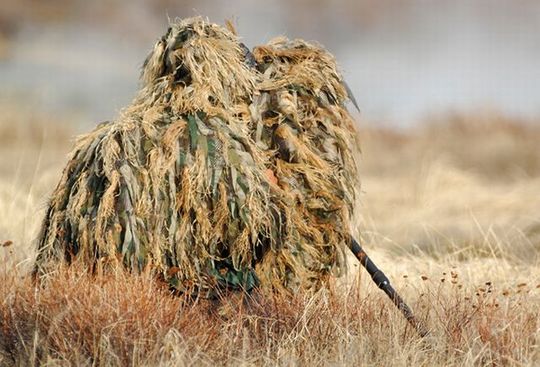 invisible_wildlife_photographer_02