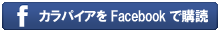 ����ѥ�����Facebook�ǹ���
