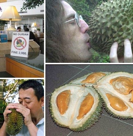 amazing_fruits_9