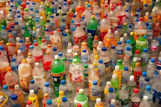 waste_not_project_08