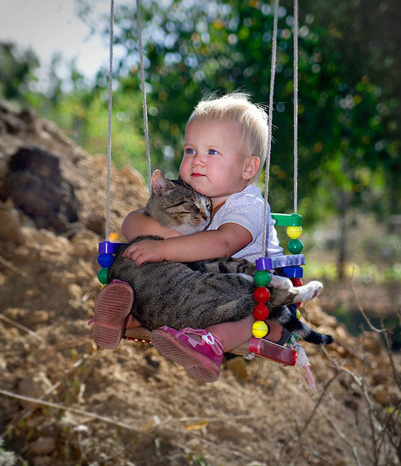 月曜日の憂鬱を吹き飛ばす1枚の画像「猫とゆらゆら♪」