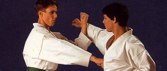 空手パンチの決め手は「腕力」ではなく「脳力」である(英研究)