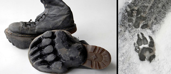 ビッグフットの足跡がつけられるシューズ！
