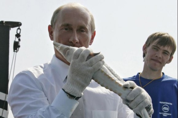 チョウザメとプーチン大統領