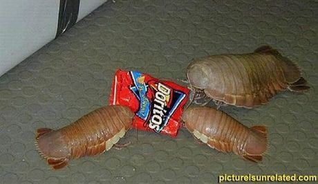 wtf_pictures_53