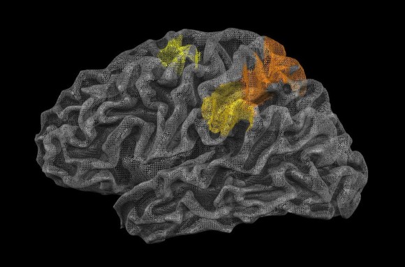 脳に隠された”物理エンジン”が未来を予測する（米研究）