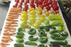 野菜の変異体をこよなく愛するドイツのコレクターのミュータント野菜コレクション