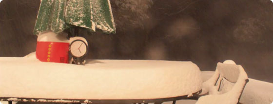 80センチの雪が降り積もる様子を30秒で