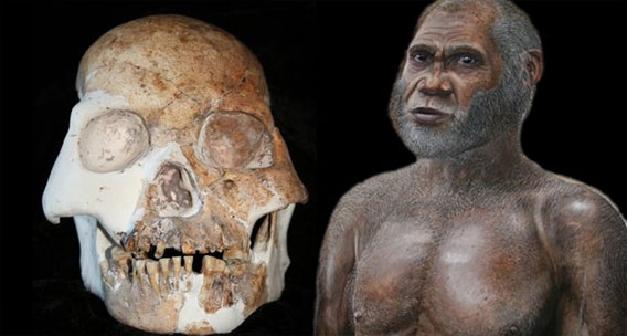 アジア人とアメリカ先住民の祖先が古代の中国人であることがDNA分析で判明（ドイツ研究）
