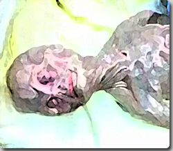 SFXの巨匠、スティーヴ・ジョンソンが製作した、小さいエイリアンの解剖映像