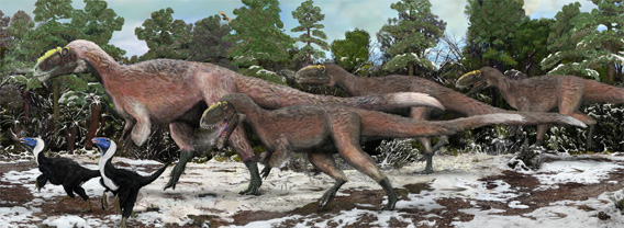 もふもふ恐竜？柔らかい羽毛に覆われた大型肉食恐竜の化石が発見される（中国）