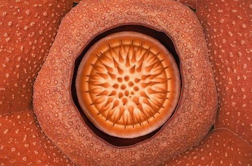 national_geographic_moments_27