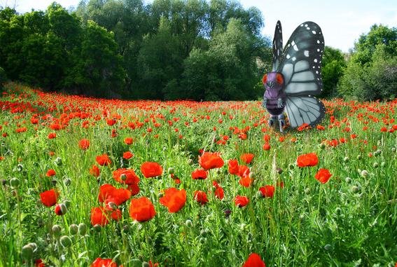 wfdj_A_Wild_Butterfree_Appears_by_Ikioi