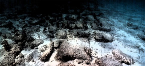 深海に沈む5つの謎と発見