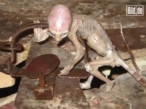 alien-36_e