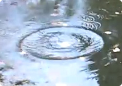 【動画】学校の池に１ポンド（450グラム）の金属ナトリウムの塊を投げ入れた。大爆発。