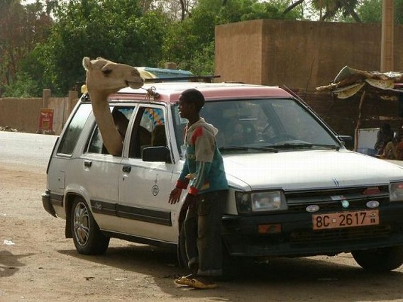 only_in_africa_15