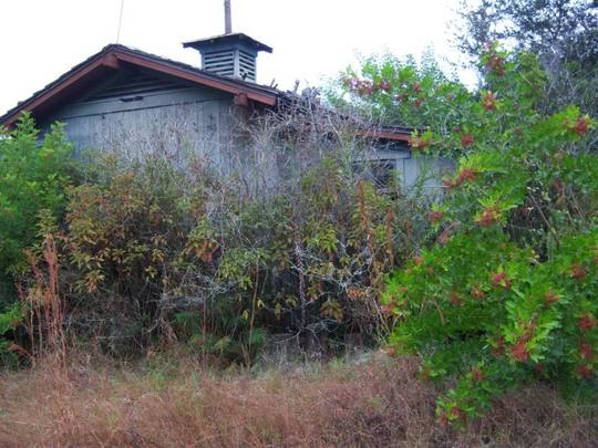 RiverCountry087