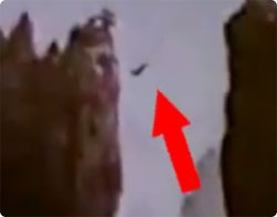 これがヒマラヤの空飛ぶヤギだ！！