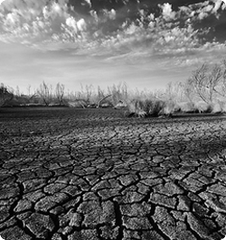 地球は温暖化しているのではない。不気味化している。（米ニューヨークタイムズ）