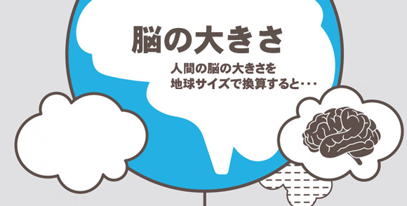 人間の脳の大きさを地球サイズで換算してみると・・・