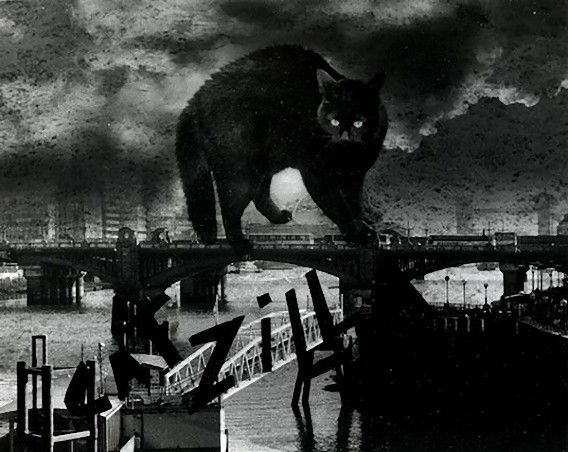 catzilla_atack_15_e