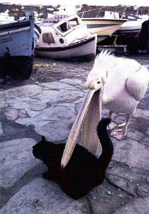 00