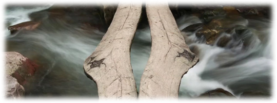 【動画】世界17カ国を5分間でめぐる高画質タイムラプス映像「Time is Nothing」