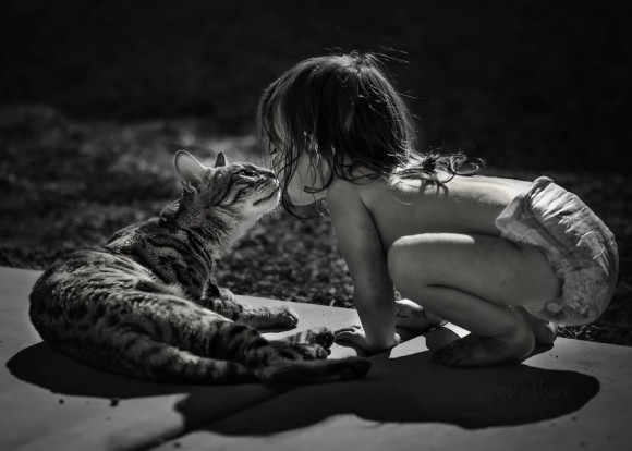 ぽかぽかするよ。猫と子どもの暖かファンタジーな世界観のある写真