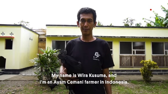 kusuma