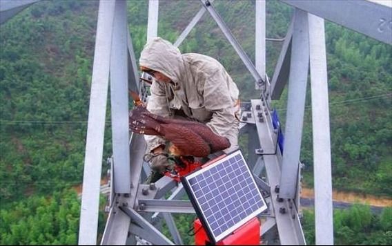 high_voltage_job_640_02