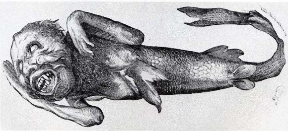 8_e49