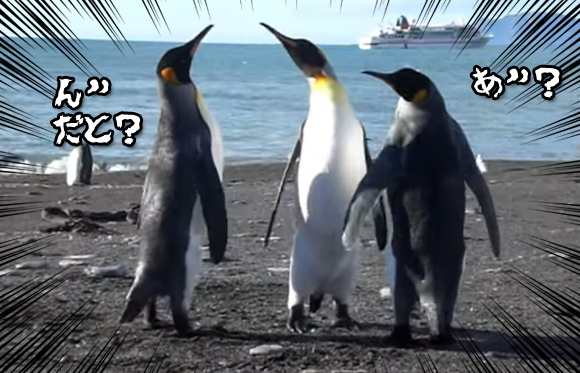 ペンギンのパタパタ喧嘩はビンタを張り合うことで始まる