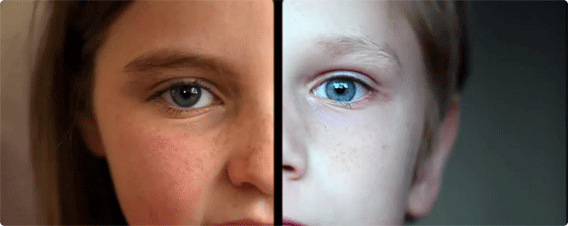 左右の映像を見比べて考える「対照性」