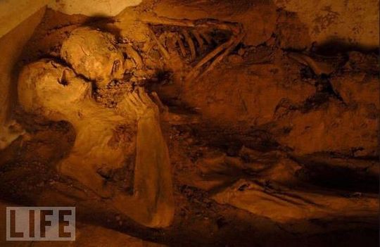 amazing_mummies_08