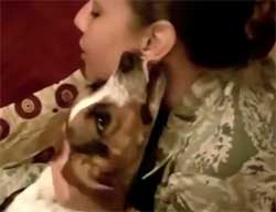 6ヶ月ぶりの再会。子犬だったビーグル犬がこんなに大きくなって、こんなにも大興奮