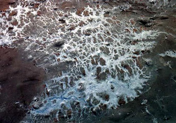 the_well_known_12
