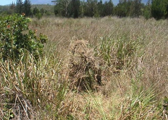 military_camouflage_10