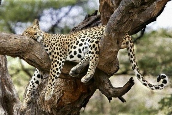 tired_640_22_e