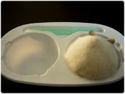 雪見だいふくハムスター、「大福ぽちょこの冒険記」