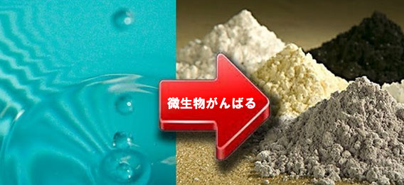 微生物を使い、工場排水からレアメタルを回収する技術を開発（日本研究）