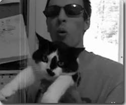 シュールな銃、猫ガン