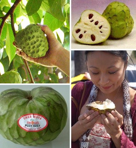 amazing_fruits_6