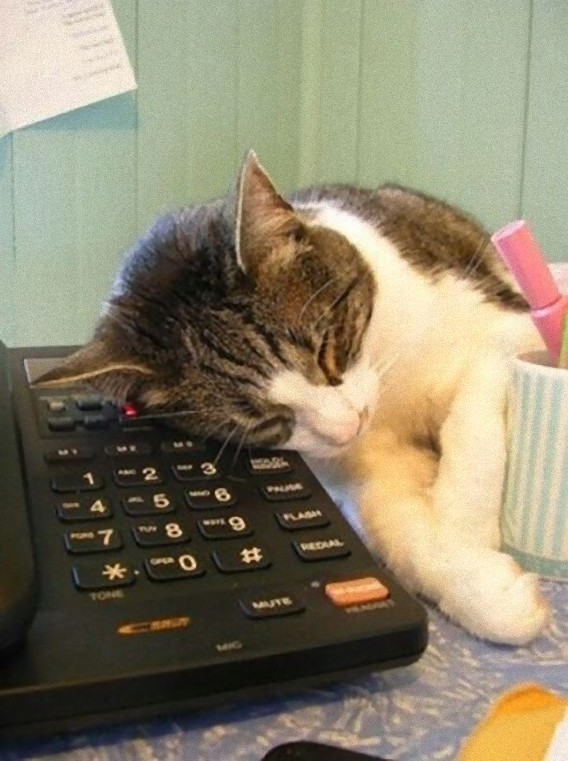 tired_640_11_e