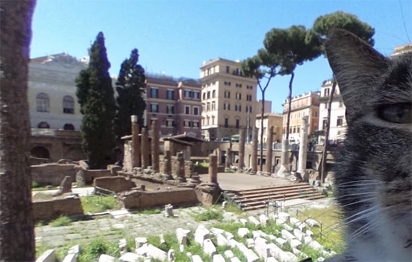 ローマの遺跡「トッレ・アルジェンティーナ広場」が猫の聖域に。Google ストリートビューを覗いてみると？（イタリア）