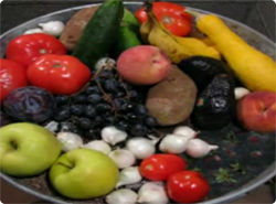 フルーツの盛り合わせを74日間放置した映像を早回しで