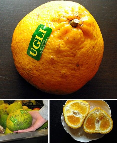 amazing_fruits_7